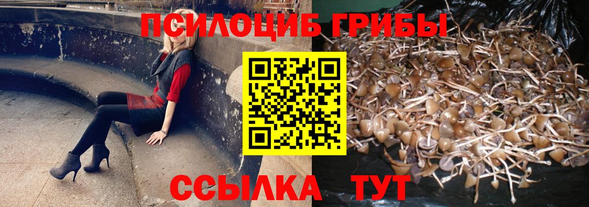 Апшеронск  Псилоцибиновые грибы мухоморы  Вход с VPN 